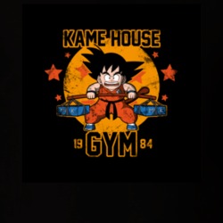Dragon Ball T-Shirt q 25093658