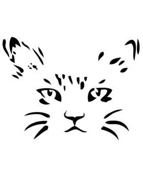 https://d1w8c6s6gmwlek.cloudfront.net/awesomecooltees.com/overlays/380/329/3803290.png img