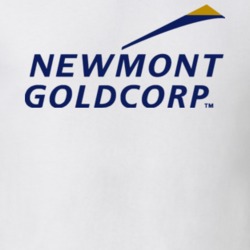Newmont Goldcorp Logo T Shirt 39171361