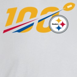 100 Steeler T Shirt 39174499