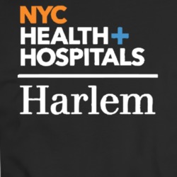 Nyc Health Hospital Harem Vintage T Shirt 39222161
