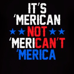 American Cool T Shirt 39299581