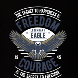 Freedom Eagle T Shirt 39299930