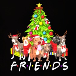 Friends Xmas Dogs T Shirt 39299943