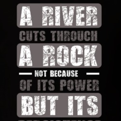 A River T Shirt 39300017
