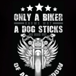 Biker-png-bg T Shirt 39300240