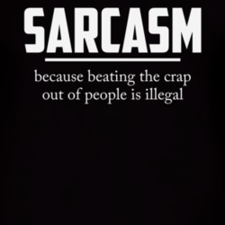 Beating-is-illegal-sarcastic- T Shirt 39300254