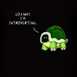 Introvert Turtle T Shirt 39301431