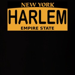 New York Harlem Empire State T Shirt 39383295