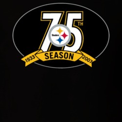 Steeler 75 Season T Shirt 39383298