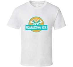Ndamukong Rex Suh Miami Football Sports T Shirt 16386814