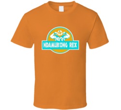 Ndamukong Rex Suh Miami Football Sports T Shirt 16386963