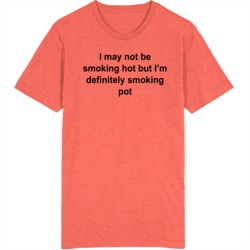 I May Not Be Smoking Hot But I'm Definitely Smoking Pot T Shirt 39285549