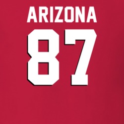 24753690