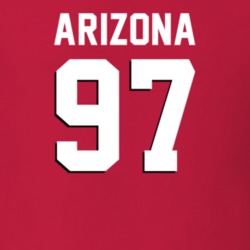 24753766