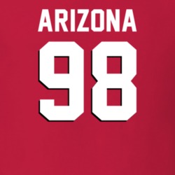 24753772