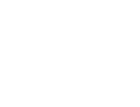 https://d1w8c6s6gmwlek.cloudfront.net/bjjtshirt.com/overlays/375/727/37572767.png img