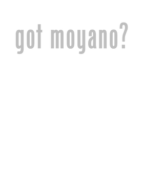 https://d1w8c6s6gmwlek.cloudfront.net/bjjtshirt.com/overlays/401/640/40164061.png img
