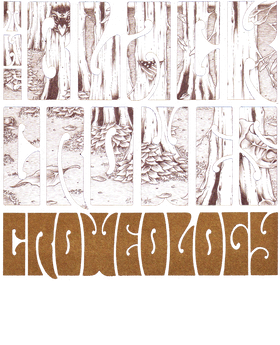 https://d1w8c6s6gmwlek.cloudfront.net/bjjtshirt.com/overlays/401/648/40164841.png img
