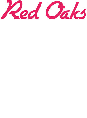 https://d1w8c6s6gmwlek.cloudfront.net/bjjtshirt.com/overlays/401/833/40183353.png img