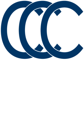 https://d1w8c6s6gmwlek.cloudfront.net/bjjtshirt.com/overlays/403/408/40340820.png img