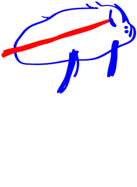 image overlay