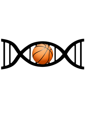 image overlay