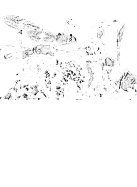 https://d1w8c6s6gmwlek.cloudfront.net/blackandwhitetshop.com/overlays/103/297/1032975.png img