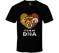 Harley Davidson Boston Bruins It's In My Dna T Shirt 34165402