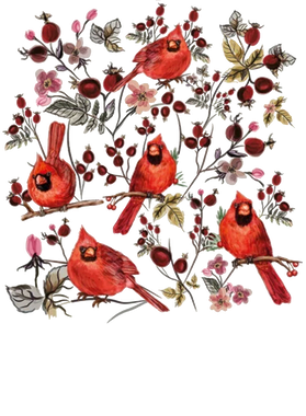 image overlay