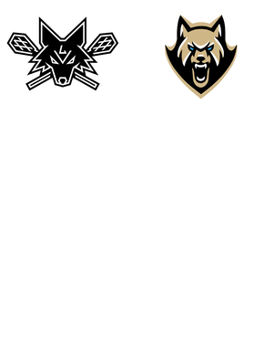 image overlay