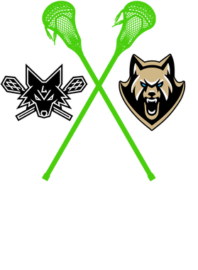 image overlay
