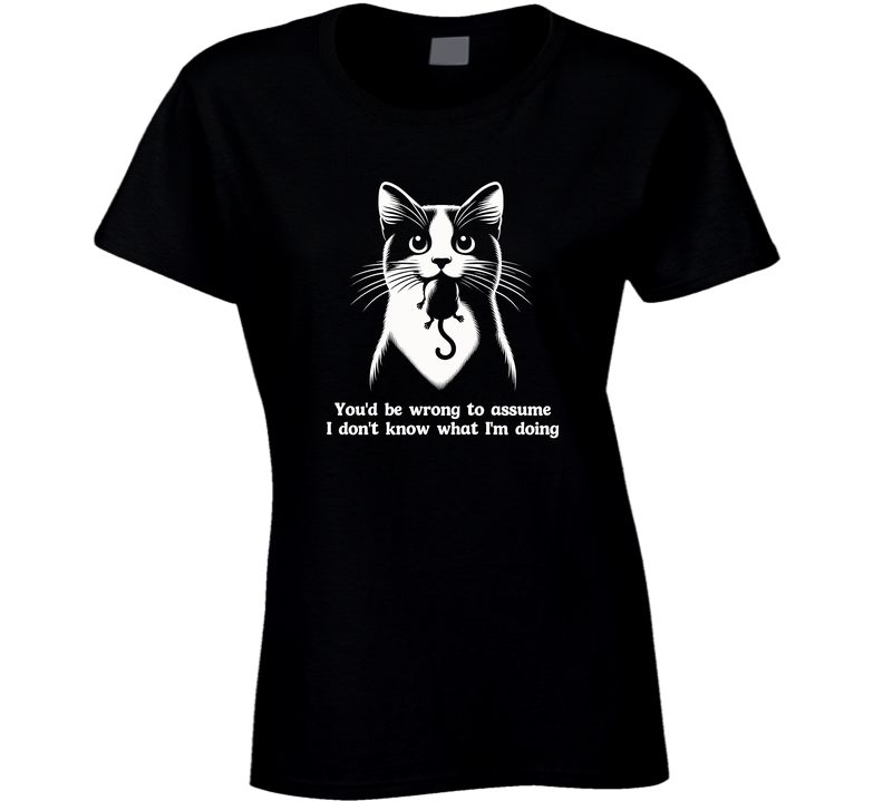 You'd Be Wrong To Assume I Don't Know What I'm Doing Ladies T Shirt