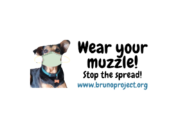 https://d1w8c6s6gmwlek.cloudfront.net/brunoprojectstore.com/overlays/389/277/38927795.png img