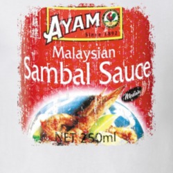 SAMBAL Asia Spicy Hot Sauce Lover Worn Look Fun Cool T Shirt 21802147