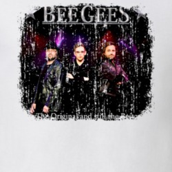 Bee Gees 70s Disco Funk Band Artist Old School Music Worn Look T Shirt 21944112