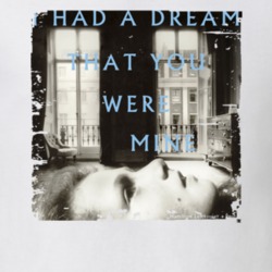 Hamilton Leithauser Rostam I Had A Dream Poster Worn Look T Shirt 25916098