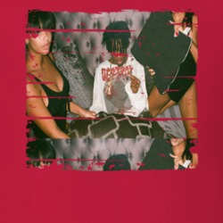 Playboi Carti Playboi Carti Album Worn Look Music T Shirt 32958640