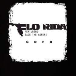 Flo Rida Sage Gemini And Lookas The Perfect 10 Worn Look T Shirt 8584044