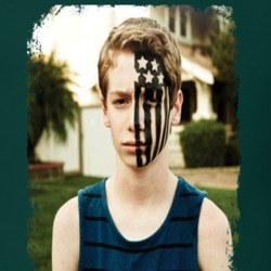 Fall Out Boy American Beauty Worn Look Album Cover T Shirt 8611422