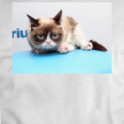 Grumpy Cat Rip T Shirt 36064246