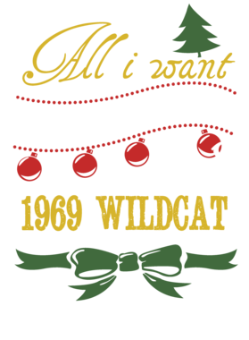 https://d1w8c6s6gmwlek.cloudfront.net/cargeektees.com/overlays/115/332/1153326.png img