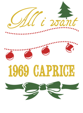 https://d1w8c6s6gmwlek.cloudfront.net/cargeektees.com/overlays/115/342/1153420.png img