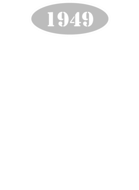 https://d1w8c6s6gmwlek.cloudfront.net/cargeektees.com/overlays/117/204/1172043.png img