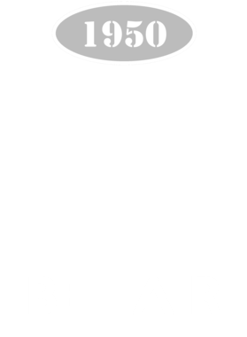 https://d1w8c6s6gmwlek.cloudfront.net/cargeektees.com/overlays/117/204/1172045.png img