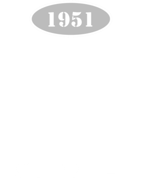 https://d1w8c6s6gmwlek.cloudfront.net/cargeektees.com/overlays/117/205/1172050.png img