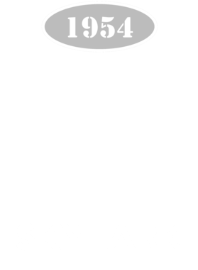 https://d1w8c6s6gmwlek.cloudfront.net/cargeektees.com/overlays/117/206/1172065.png img