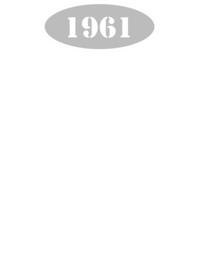 https://d1w8c6s6gmwlek.cloudfront.net/cargeektees.com/overlays/117/215/1172159.png img