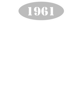 https://d1w8c6s6gmwlek.cloudfront.net/cargeektees.com/overlays/117/217/1172177.png img