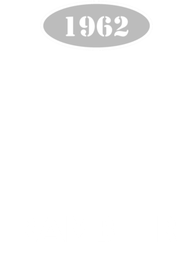 https://d1w8c6s6gmwlek.cloudfront.net/cargeektees.com/overlays/117/217/1172178.png img